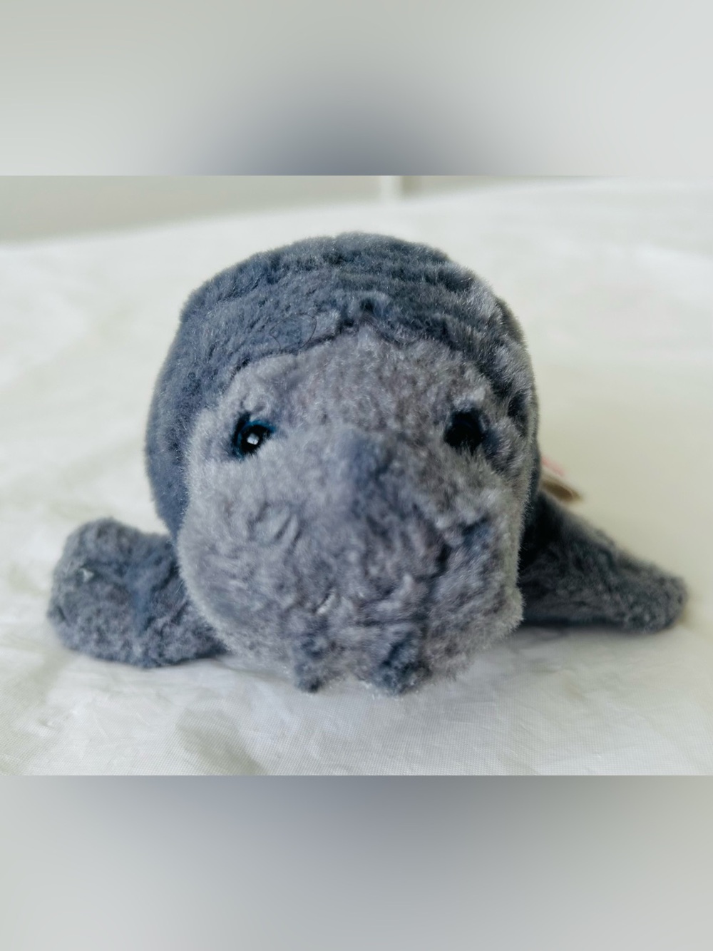 Aurora manatee plush stuffed animal